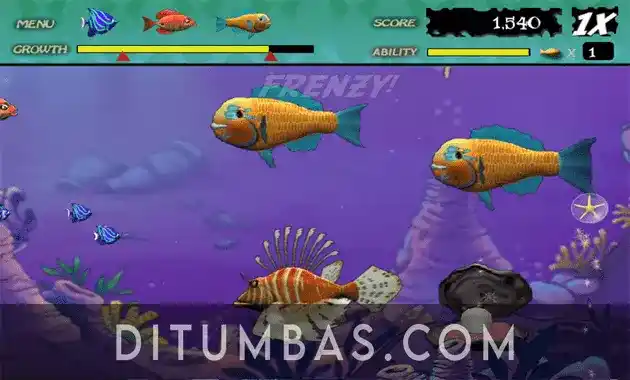 tampilan feeding frenzy pc
