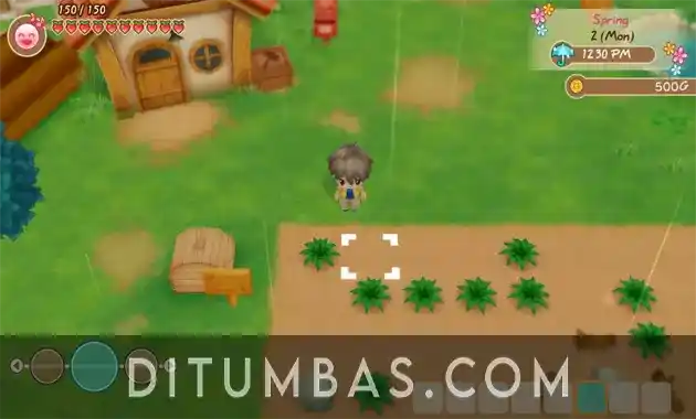 tampilan story of seasons friends of mineral town pc