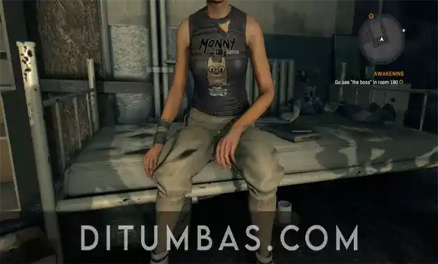 tampilan dying light pc